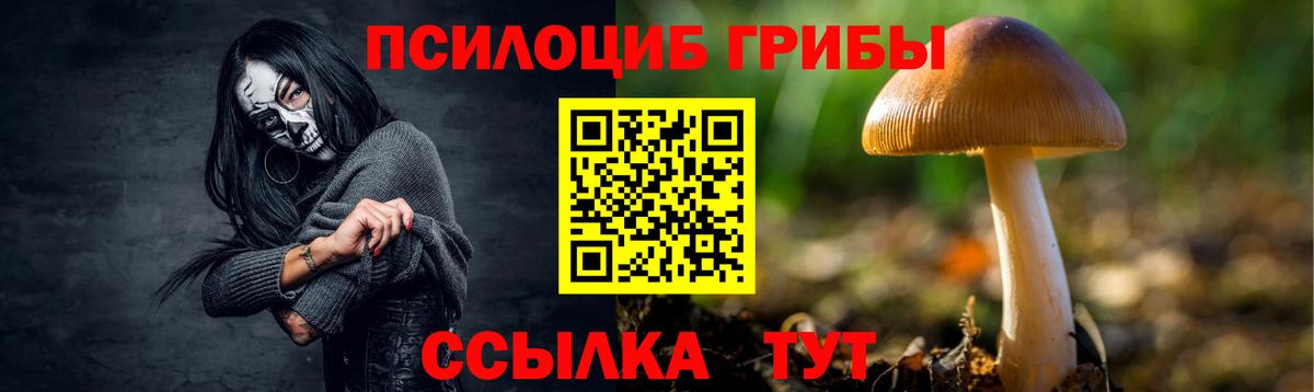 Псилоцибиновые грибы Psilocybe Реж